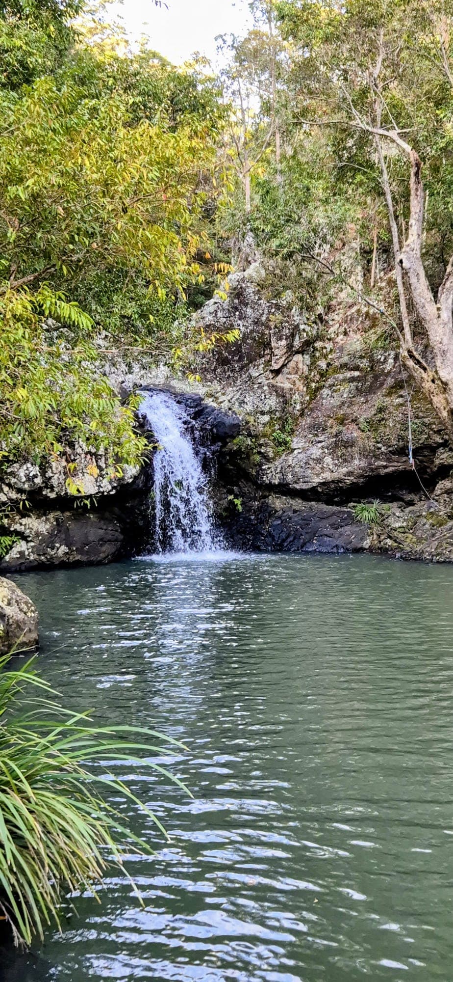 Kondalilla Eco Resort venue 2