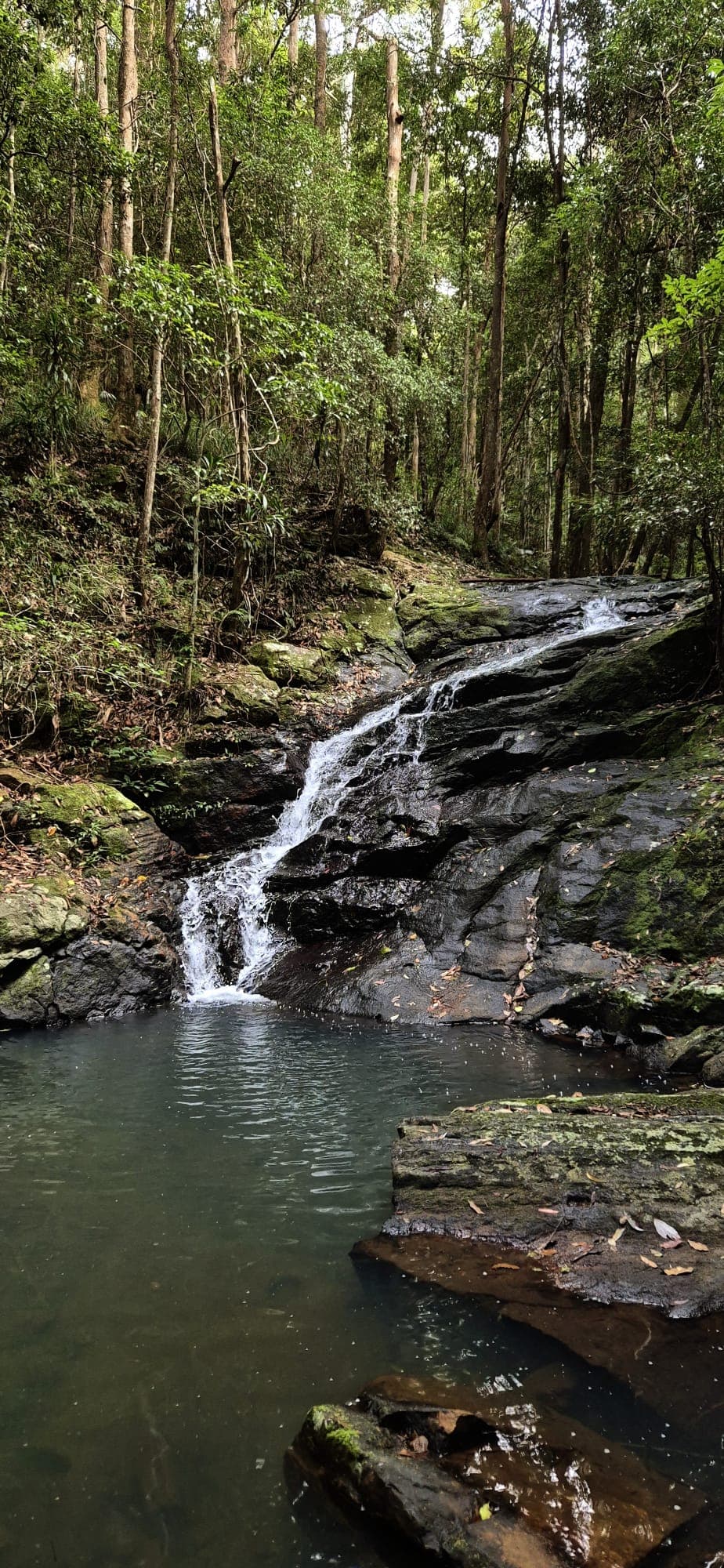 Kondalilla Eco Resort venue 5