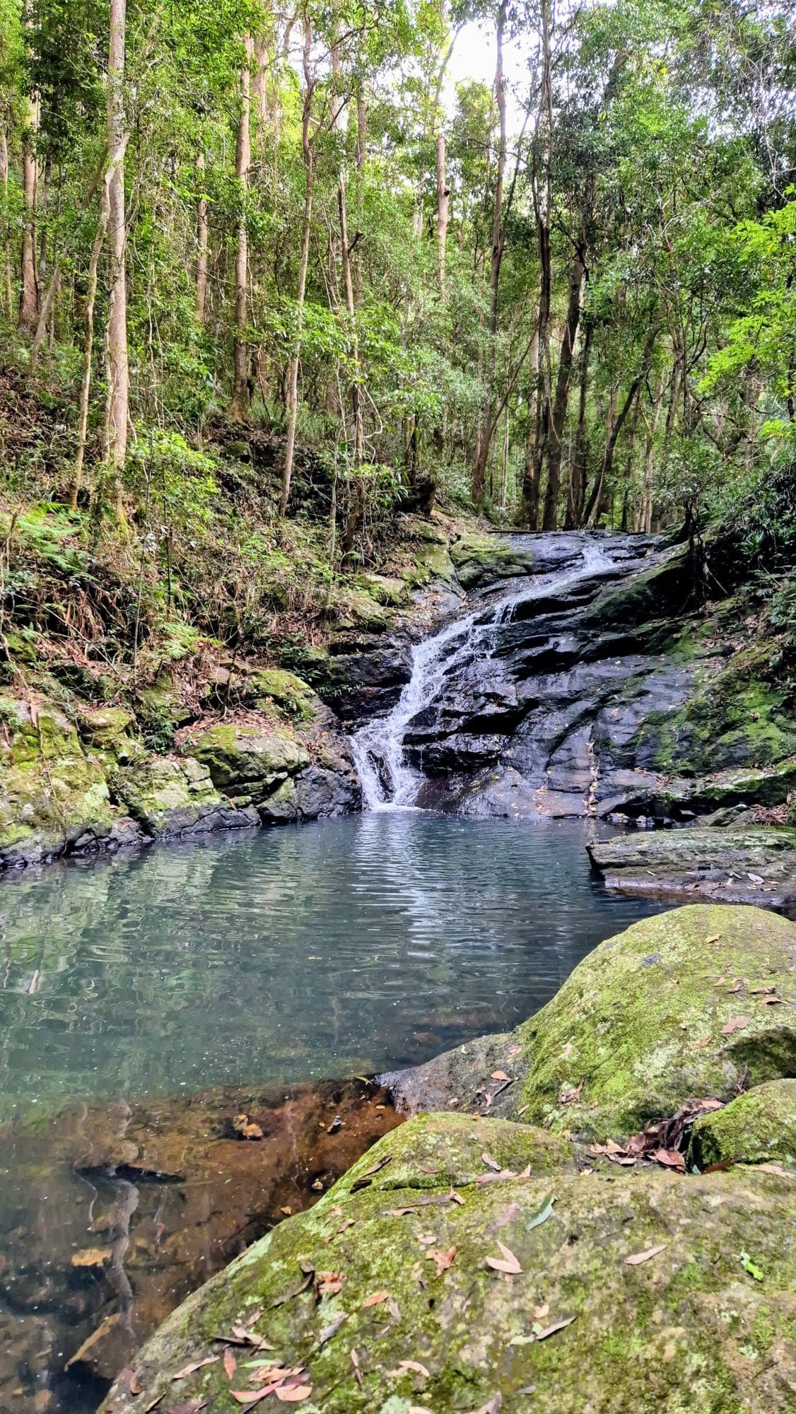 Kondalilla Eco Resort venue 7