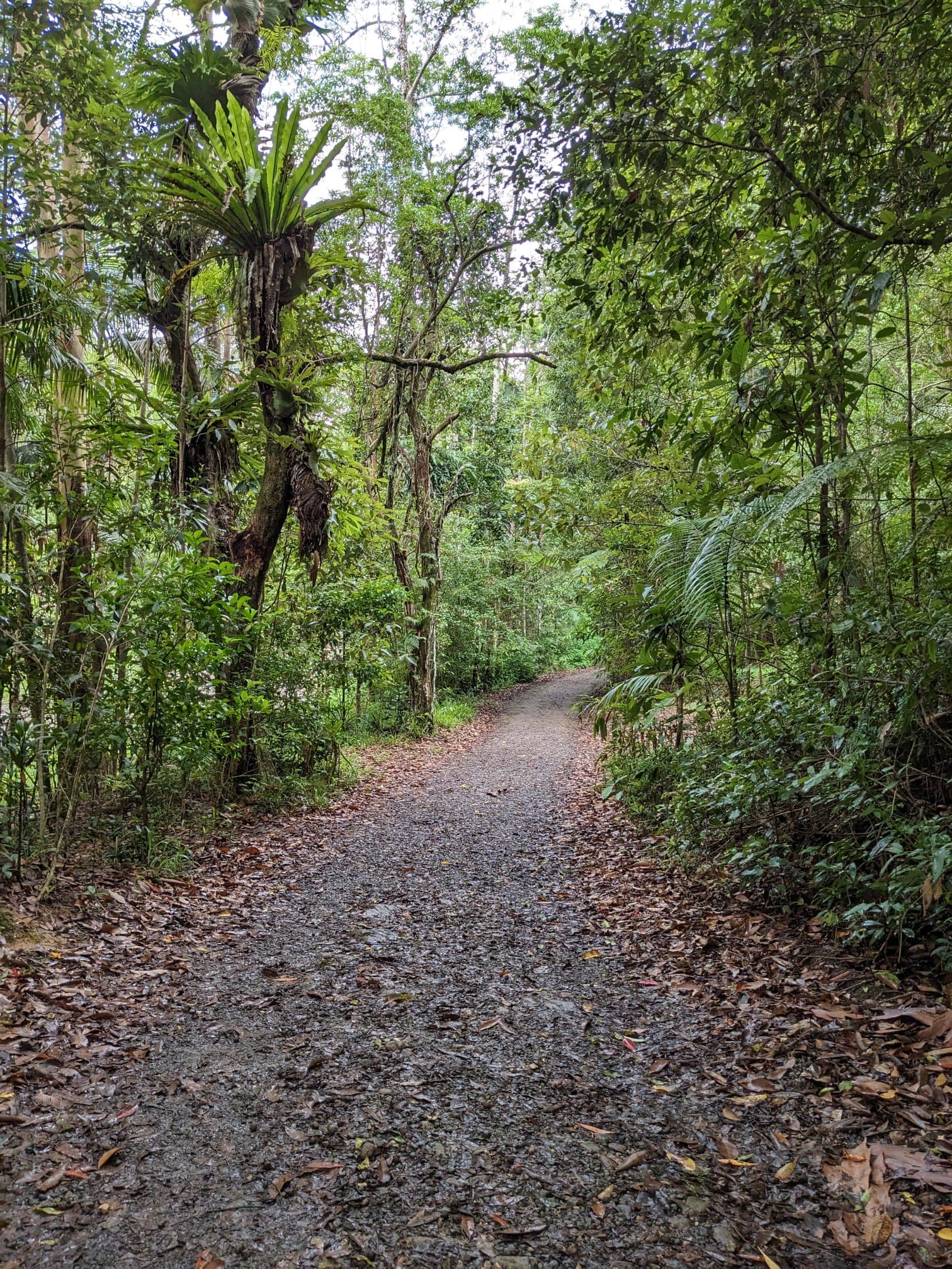 Kondalilla Eco Resort venue 10