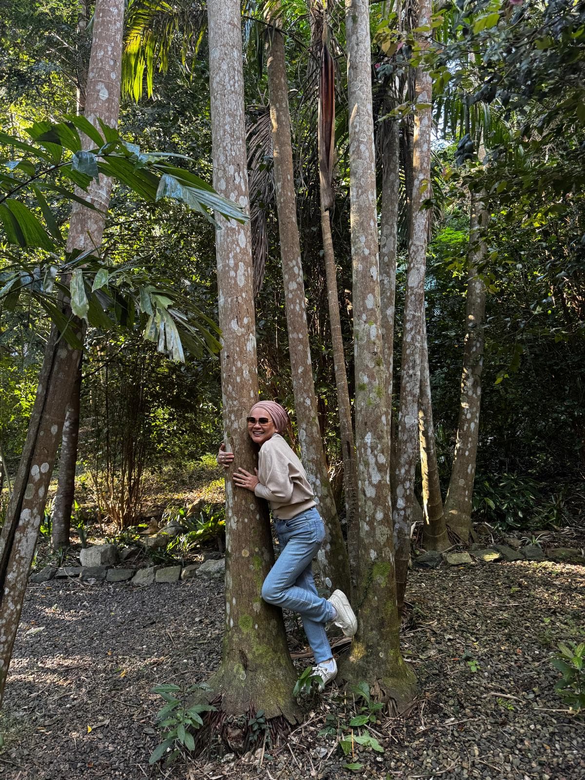Kondalilla Eco Resort venue 11