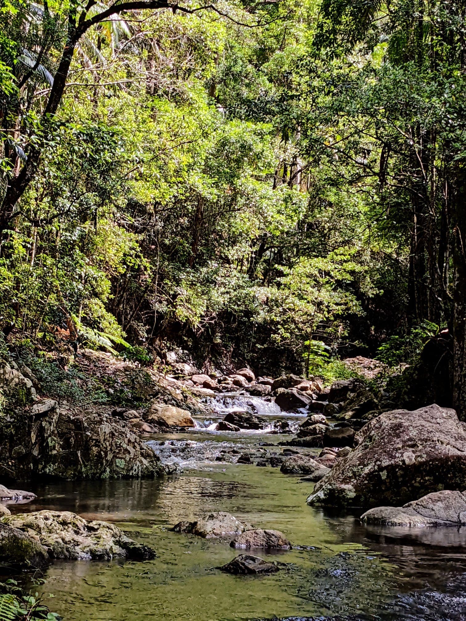 Kondalilla Eco Resort venue 12